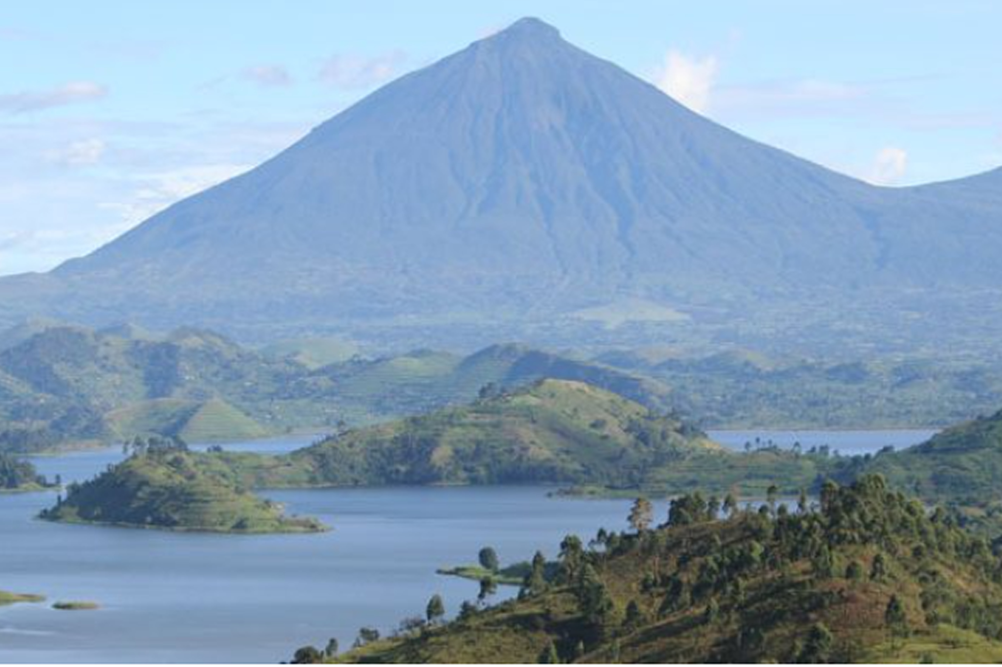 1-Day Gorilla Trek in Uganda from Kigali