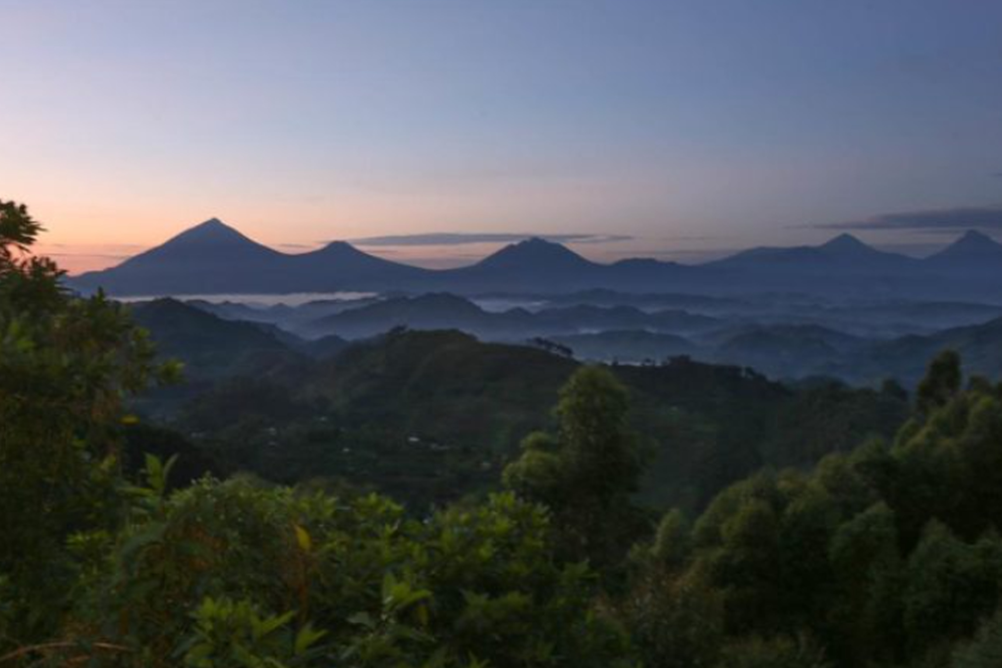 4-Day Uganda Double Gorilla & Golden Monkey Safari